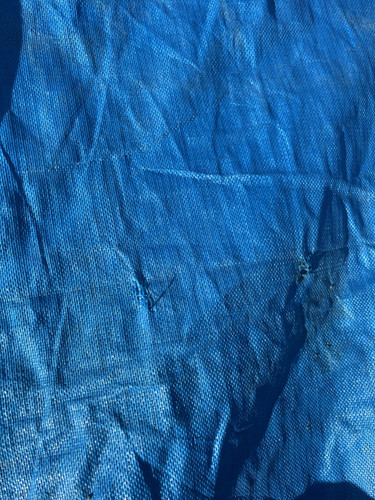 IMG 0430.jpg