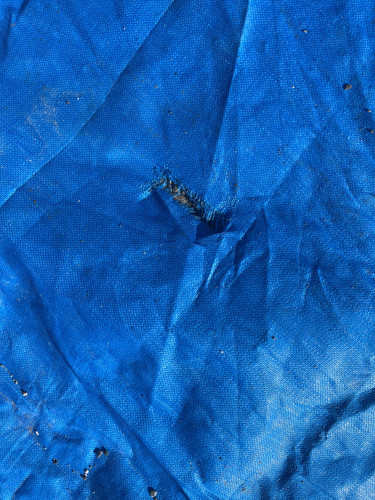 IMG 0426.jpg