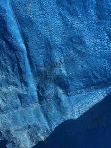 IMG 0422.jpg