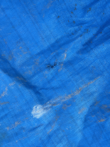 IMG 0424.jpg