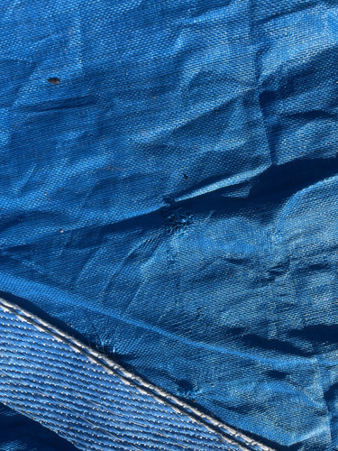 IMG 0423.jpg