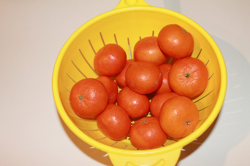 Elma Mandalin V280220260903 N42.jpg