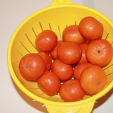 Elma Mandalin V280220260903 N42