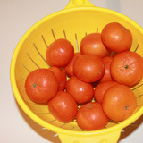 Elma Mandalin V280220260903 N41