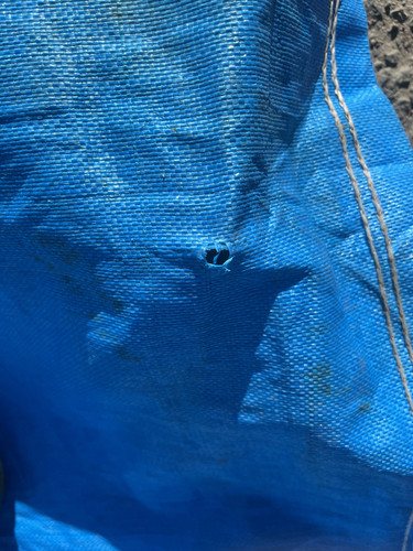 IMG 0469.jpg