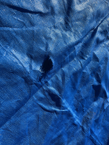 IMG 0478.jpg