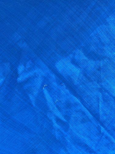 IMG 0465.jpg