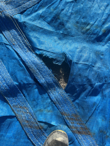 IMG 0460.jpg