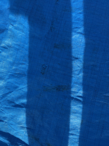 IMG 0455.jpg
