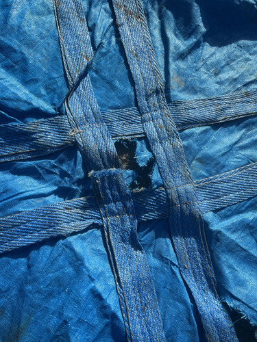 IMG 0461.jpg