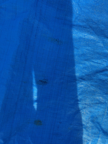 IMG 0456.jpg