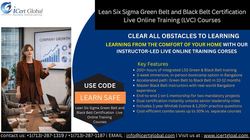 Lean Six Sigma Green Belt and black belt.jpg