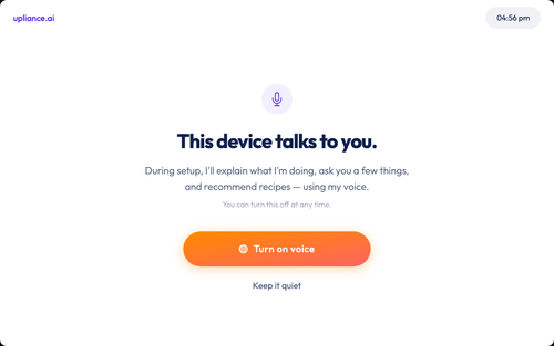 00 voice permissions.png