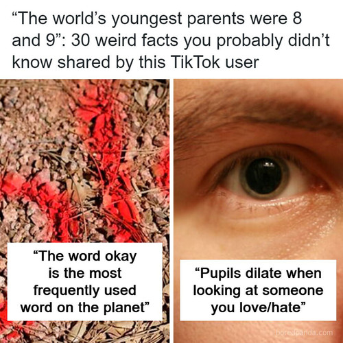 weird facts you not know tiktok.jpg