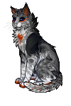 IMG 20260305 135211 421.png
