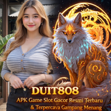 duit808