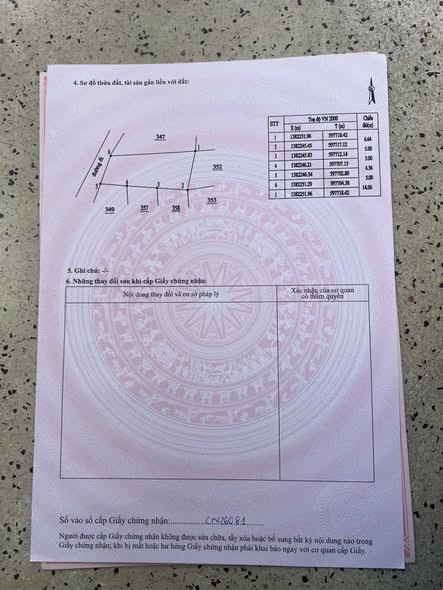 648224481 2153312112172192 3768897566968525835 n.jpg