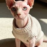 穿衣服的无毛猫