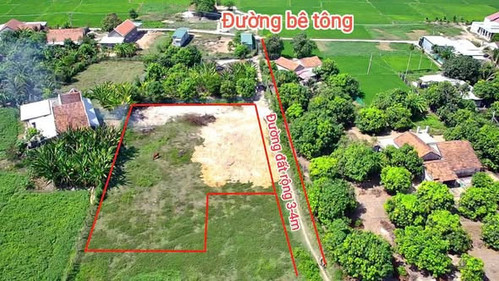 646158675 946679097817452 1502848278575124545 n