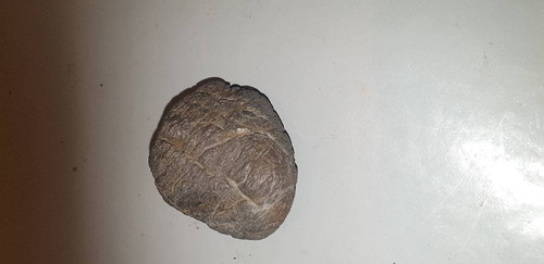 96d35fea214e.jpg