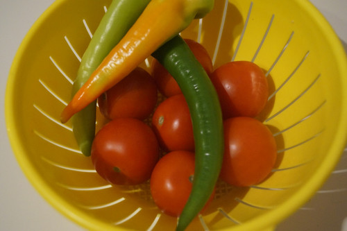 Domates Biber V270220260903 N4.jpg