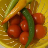 Domates Biber V270220260903 N4