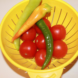 Domates Biber V280220260903 N12