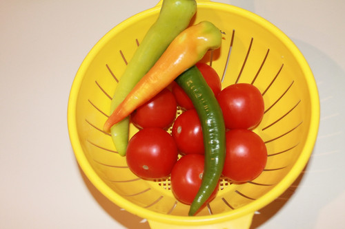 Domates Biber V280220260903 N11.jpg