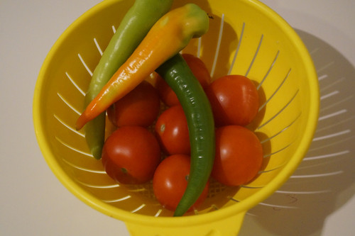 Domates Biber V280220260903 N6.jpg