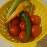 Domates Biber V280220260903 N6