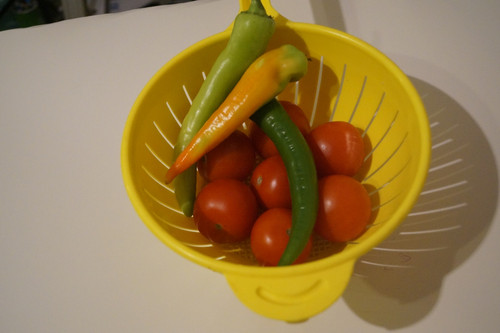 Domates Biber V270220260903 N3.jpg