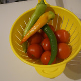 Domates Biber V270220260903 N3