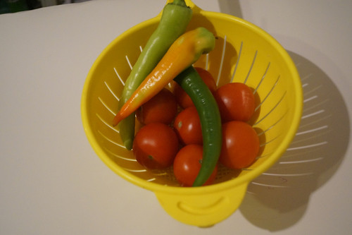 Domates Biber V270220260903 N2.jpg