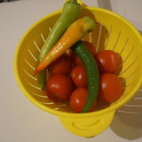 Domates Biber V270220260903 N2