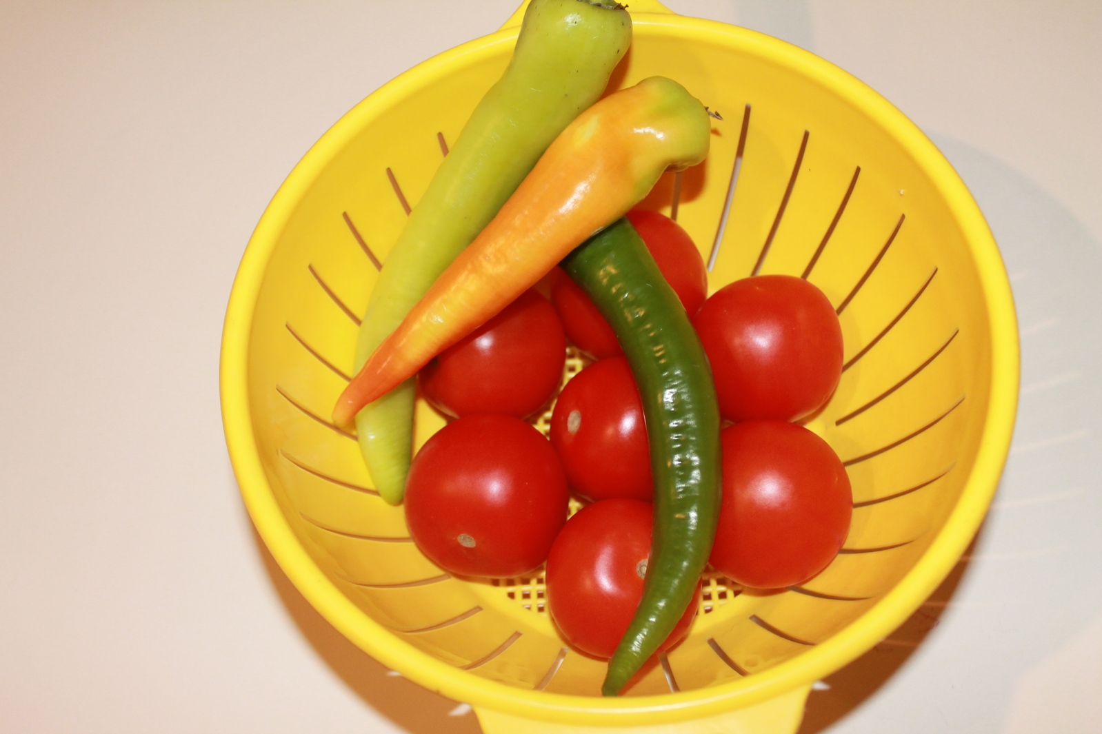 [Image: qnKqTTQ.jpg]