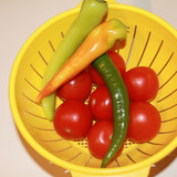 Domates Biber V280220260903 N10