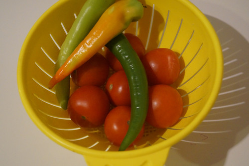 Domates Biber V280220260903 N7.jpg