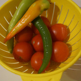 Domates Biber V280220260903 N7