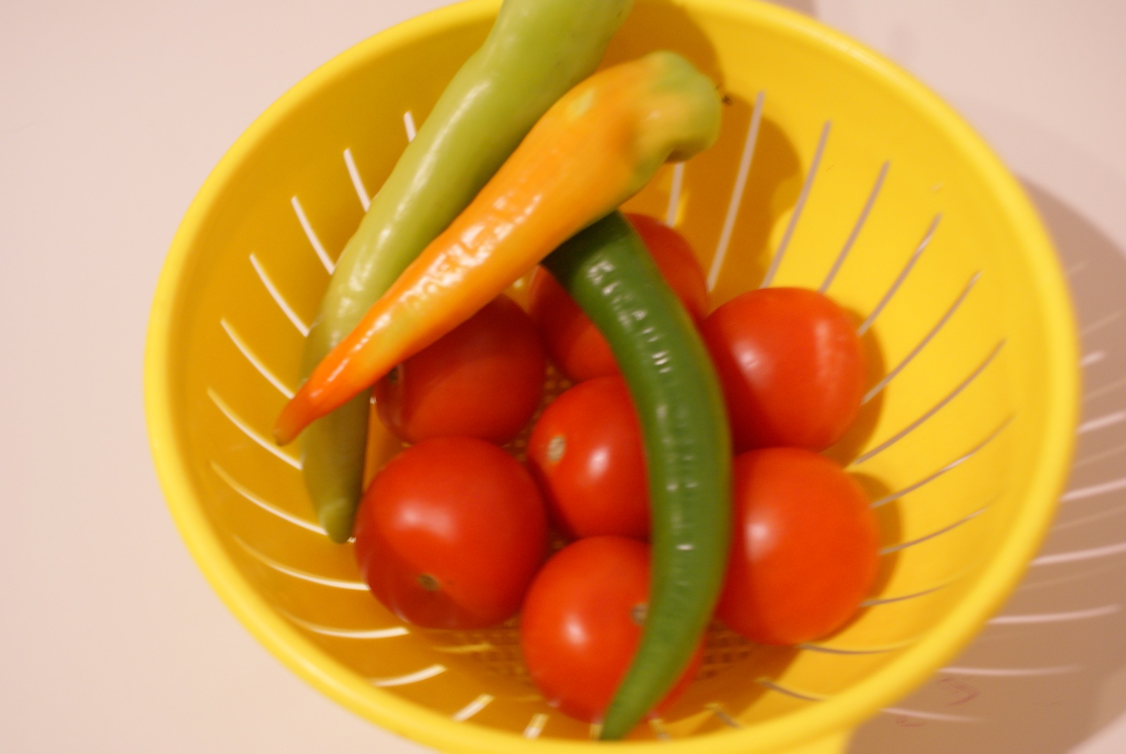 [Image: qnKqoYb.jpg]