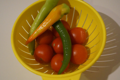 Domates Biber V280220260903 N5.jpg