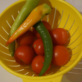 Domates Biber V280220260903 N5