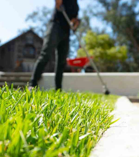 Safe Pressure Washing Tips to Protect Plants and Soil.jpg