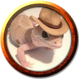 imagen 2026 03 05 191236883.png