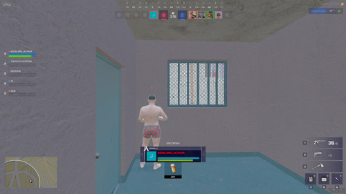 FiveM GTAProcess FmajTcDPh5.jpg
