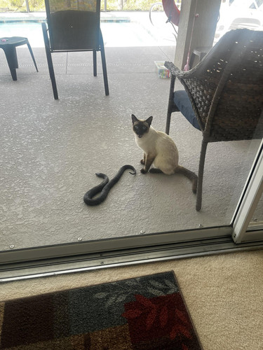 646880368 10120047051694551 8054135588600730985 n.jpg