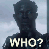 IMG 3108.gif