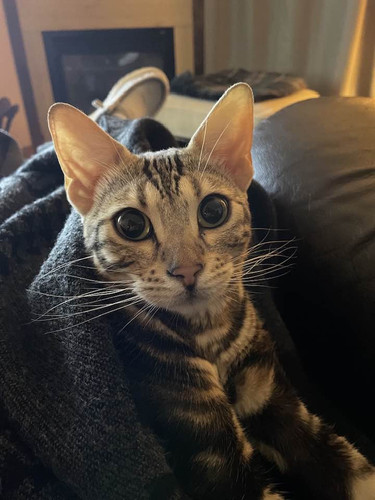 648164042 943529171965729 653592831162932504 n.jpg