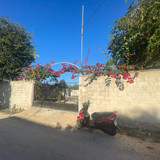 WhatsApp Image 2026 02 25 at 6.48.44 PM