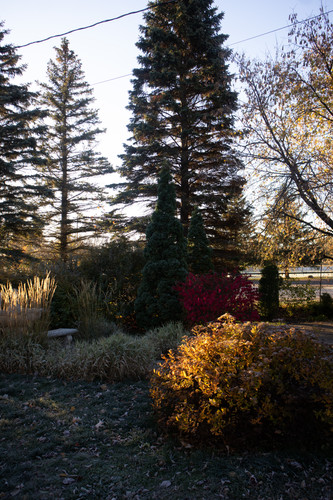 20251026 IMG 5465.jpg