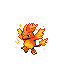 front nobg.png
